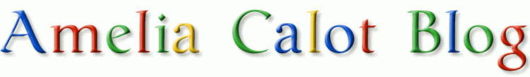 Amelia Calot Blog
