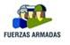fuerzas armadas