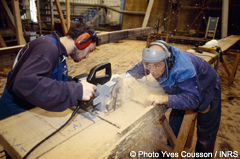 AllergiesPoussieresBois